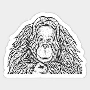 Orangutan Sticker